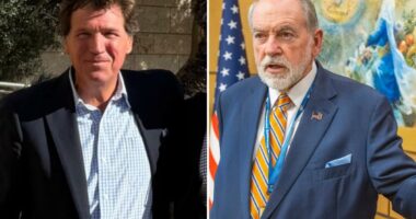 Tucker Carlson claims he was 'detained' in Israeli airport â but ambassador says it was just routine customs check